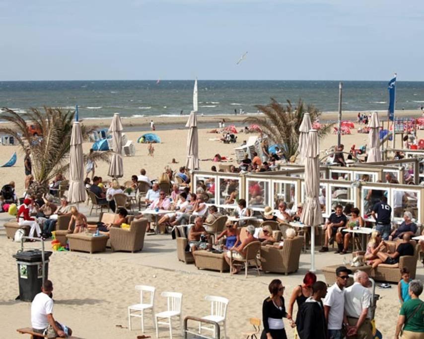 Stella Maris Dune Apartment Zandvoort Esterno foto